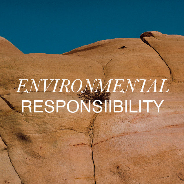 ENVIRONMENTAL POLICY - Borbonese