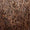 SCARF - CREMA