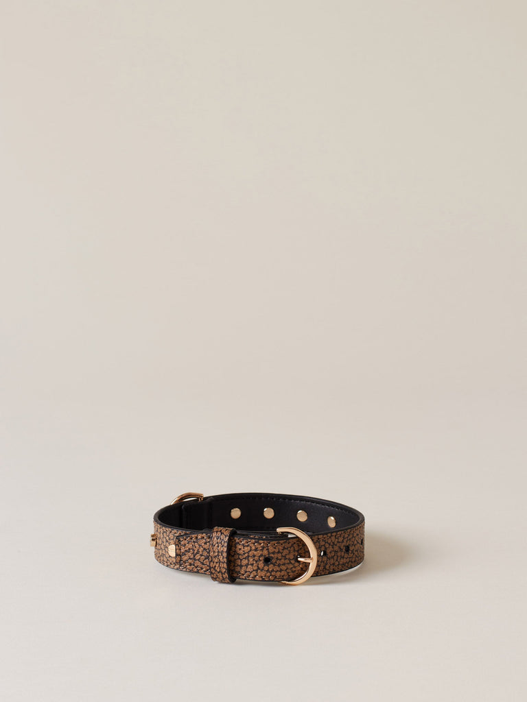Borbonese 11 Collare C Rivetti Pets _1