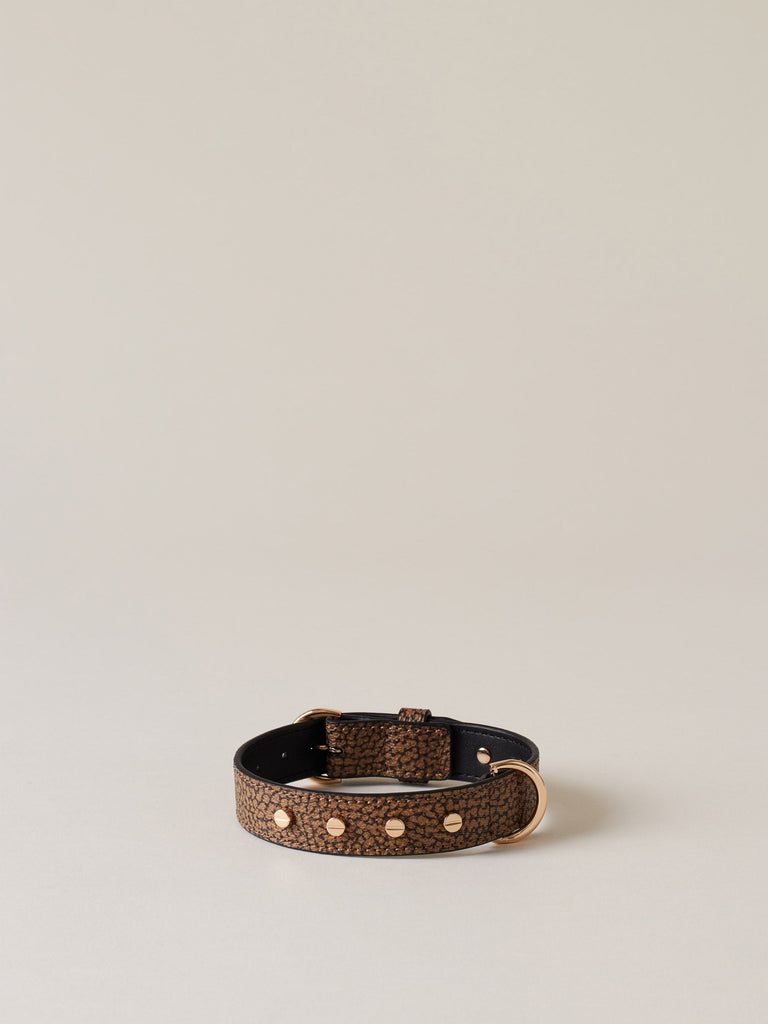 Borbonese 11 Collare C Rivetti Pets _3