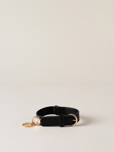 Accessori Animali collari guinzagli trasportini Borbonese