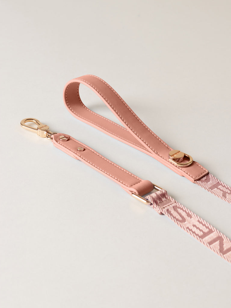 LEASH