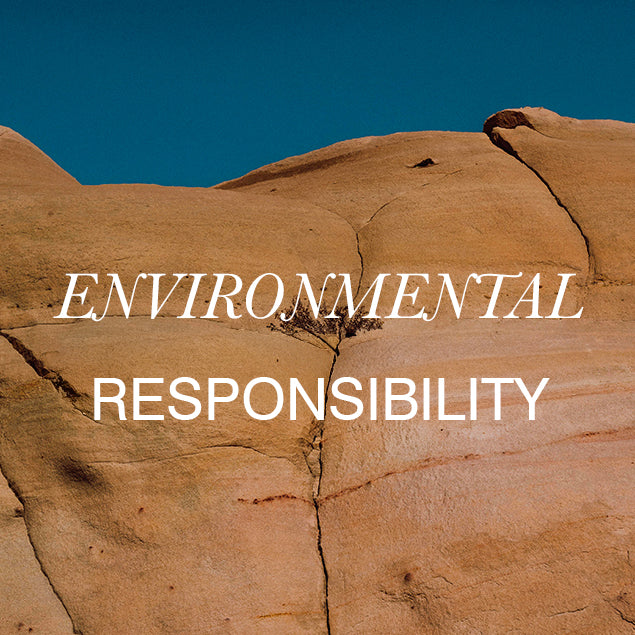 POLITICA AMBIENTALE - Borbonese